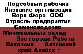 Подсобный рабочий › Название организации ­ Ворк Форс, ООО › Отрасль предприятия ­ Семеноводство › Минимальный оклад ­ 30 000 - Все города Работа » Вакансии   . Алтайский край,Алейск г.